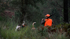 Un cazador en los montes de Cameixa, en el municipio ourensano de Bobors, durante el primer da de declaracin de emergencia cinegtica en Galicia, que permite cazar jabals sin lmite hasta febrero